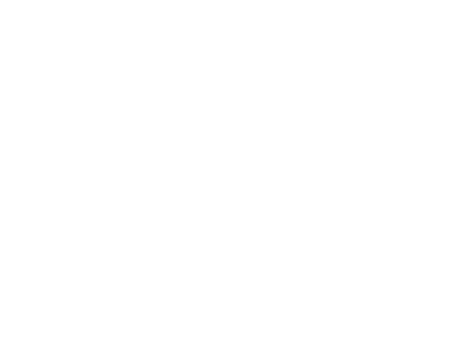 Chinese Motorcycle Review logo